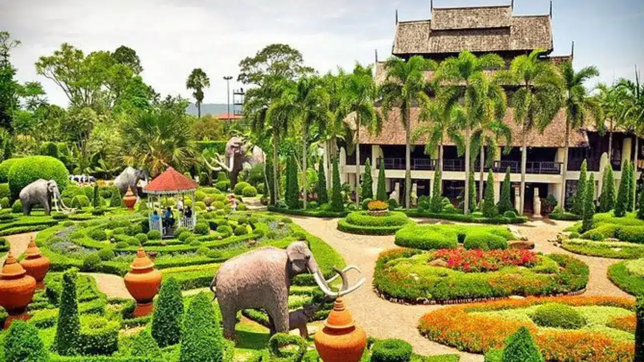 New-Project-2024-07-06T110713.397