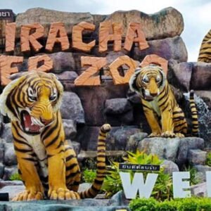 Sriracha Tiger Zoo Pattaya