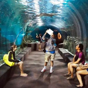 Underwater World Pattaya