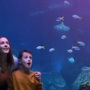 SEA LIFE Ocean World + Madame Tussauds Bangkok