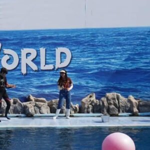 Safari World with Marine Park with Lunch